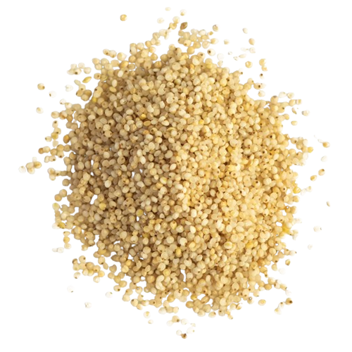 Moraiya (Barnyard Millet)